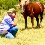 Coaching y Constelaciones con caballos